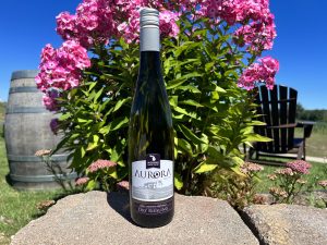 When describing Leora, Landis says the