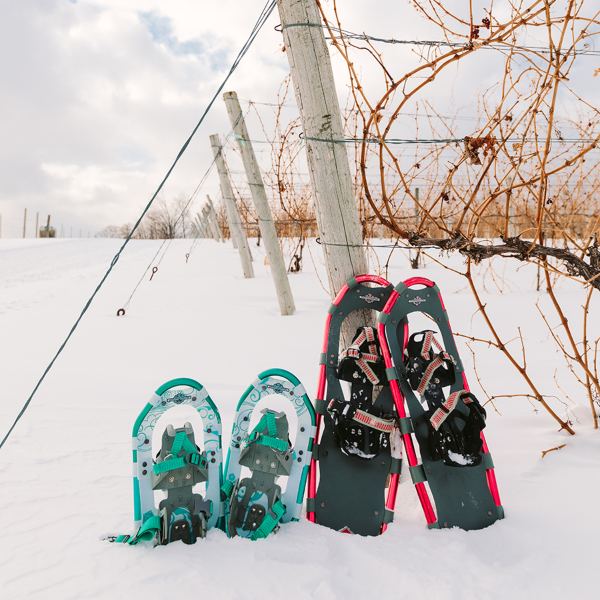 Winter trail at Aurora Cellars vineyard in Lake Leelanau, MI, with snow-covered vines and trees