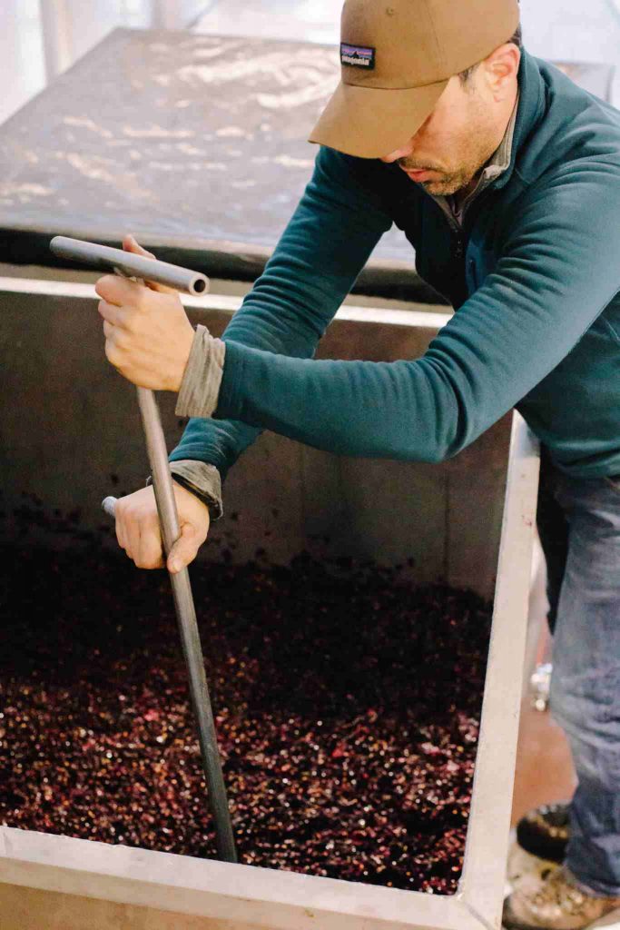 Winemaking Process in Lake Leelanau, MI