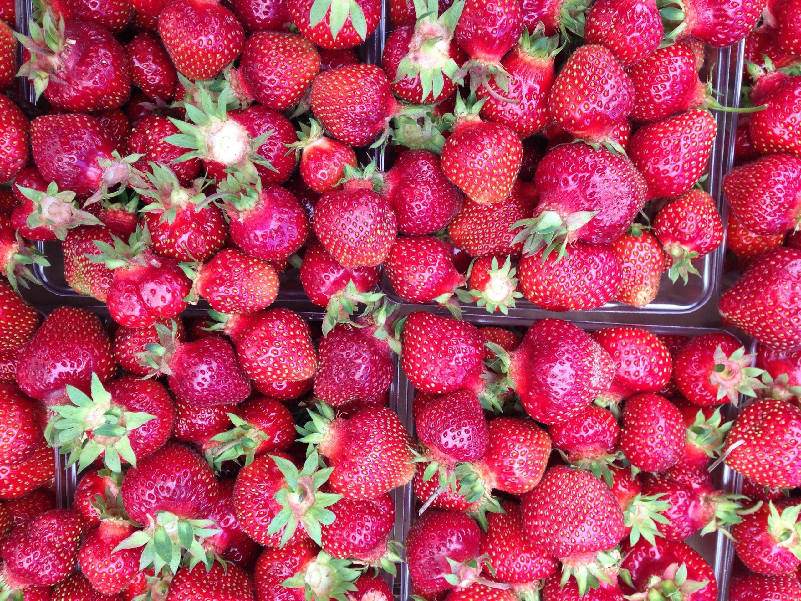 Boxes of Strawberries at Aurora Cellars